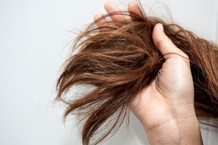 Are You Damaging Your Hair Are You Damaging Your Hair? | Avalanche Salon and Spa